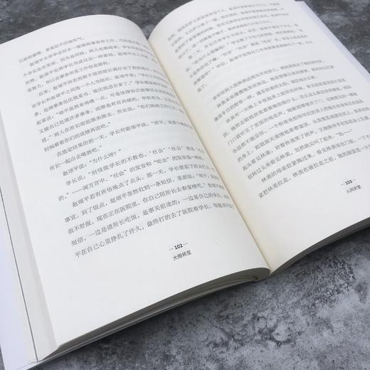 《大雨将至》著名作家、中国作协副主席张炜阅后推荐，“冰心文学”金奖得主黄杰历经六年沉淀全新力作 商品图4