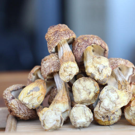 野生姬松茸 天然席上佳珍 无任何添加 菇朵饱满 300g包邮