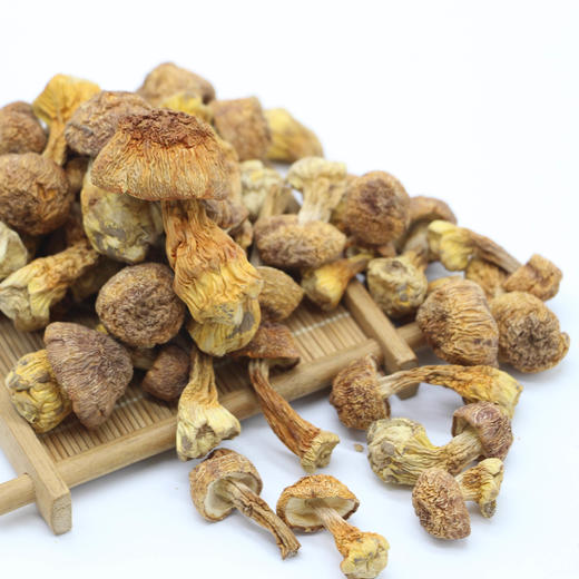 野生姬松茸 天然席上佳珍 无任何添加 菇朵饱满 300g包邮