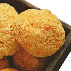 福建古田银耳  丑耳 天然金黄 植物胶质丰富