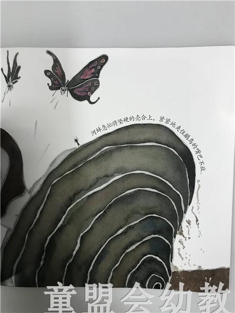 首届江苏省新闻出版政府奖 小橘宝图画馆·鹬蚌相争 江苏凤凰出版 商品图4