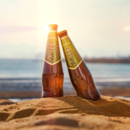 青岛啤酒 精酿IPA 330ml*12瓶 琥珀色酒液 特殊水果脂香 多重酒花酿造，入口苦香厚重 文化酒系列 商品图1