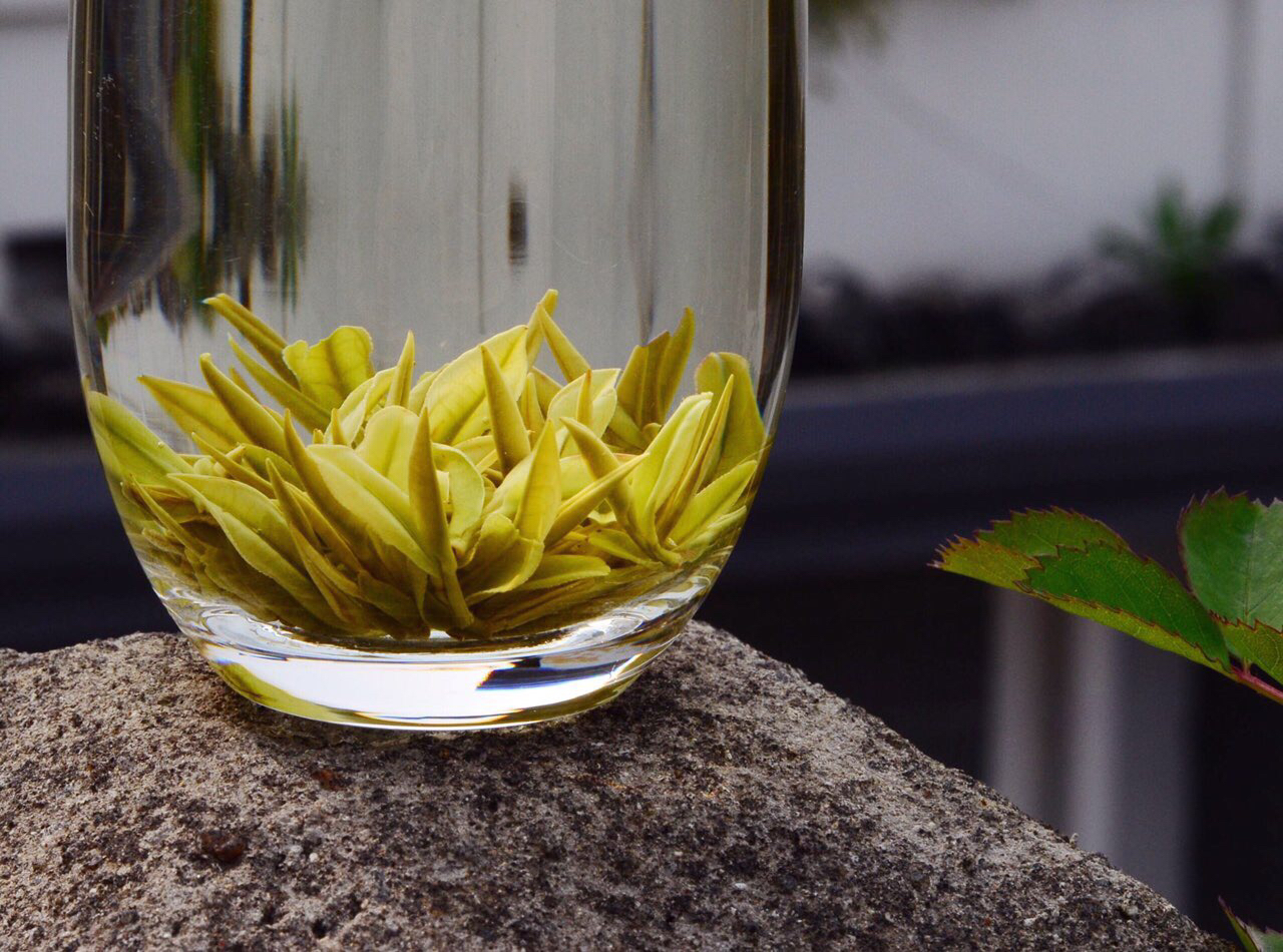 清如许定制 | 明前极品安吉白茶【春味茶礼】60泡袋 180克装