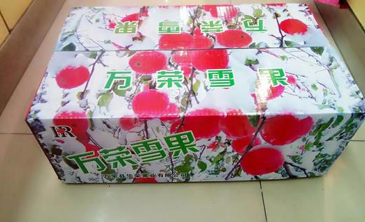 【常州馆】杰记水果万荣雪果9kg礼盒【仅供展示】 商品图1