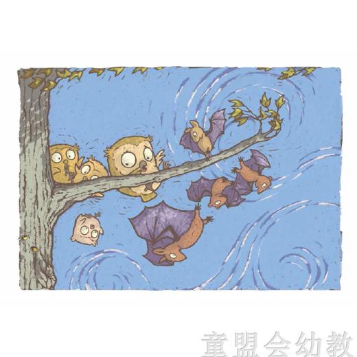 信谊宝宝起步走 猫头鹰蝙蝠 明天出版社 正版 0-3-4-5-6岁 商品图3