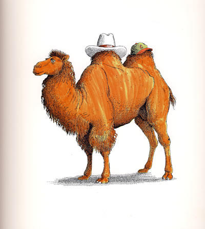 动物绝对不应该穿衣服    海豚绘本 商品图3