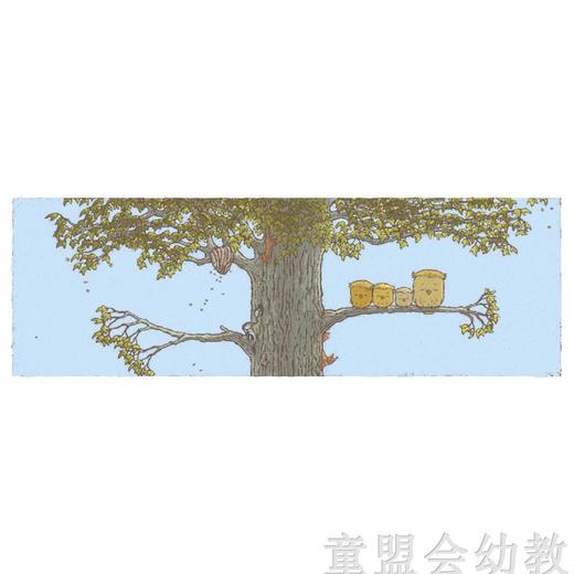 信谊宝宝起步走 猫头鹰蝙蝠 明天出版社 正版 0-3-4-5-6岁 商品图4