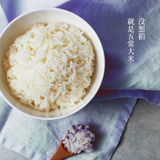 严选 没想稻五常稻花香大米 商品图1