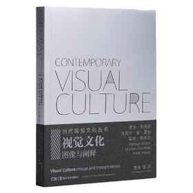 【当代视觉文化丛书】  视觉文化：图像与阐释