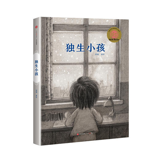 《独生小孩》——一个中国80后女孩用一支铅笔感动全世界，《纽约时报》年度10佳绘本 商品图1