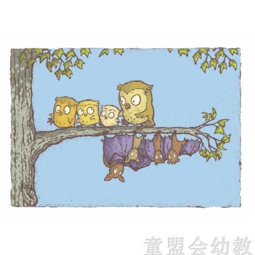 信谊宝宝起步走 猫头鹰蝙蝠 明天出版社 正版 0-3-4-5-6岁 商品图2