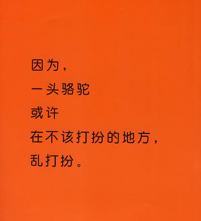 动物绝对不应该穿衣服    海豚绘本 商品图4