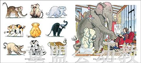 蒲蒲兰 我的超级大笨猫 曾获法国图画书大奖 3-4-5-6岁儿童 正版 商品图3