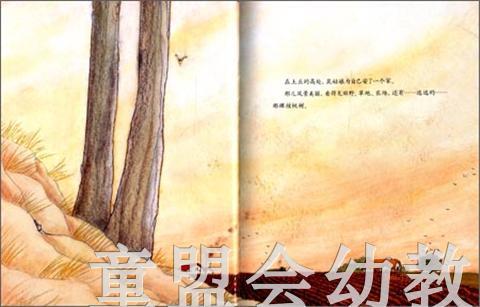 信谊 绘本 核桃 明天出版社 正版 满包邮 3-4-5-6岁 商品图2