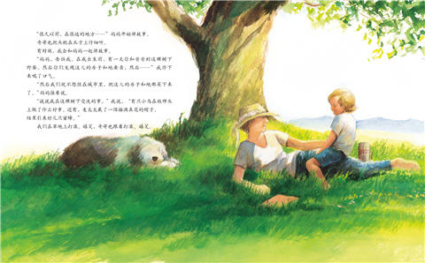 启发 艾莉丝的树 伊夫·邦廷 适合3-4-5-6岁儿童读物 正版 商品图4