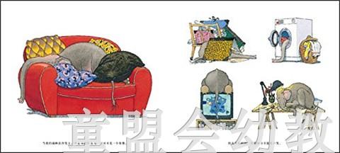 蒲蒲兰 我的超级大笨猫 曾获法国图画书大奖 3-4-5-6岁儿童 正版 商品图1