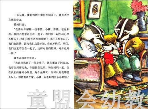 海豚 我们永远在一起！湖北少年儿童出版社 商品图3