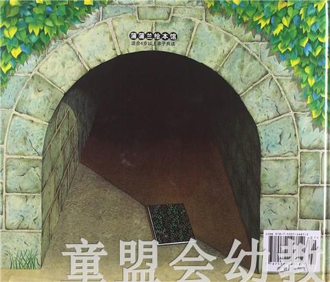 蒲蒲兰 隧道 安东尼·布朗 3-4-5-6岁儿童绘本 正版 商品图1