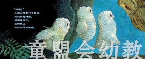 信谊宝宝起步走 小猫头鹰 明天出版社 正版 满包邮 0-3-4-5-6岁 商品图4