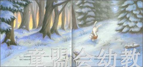 拨拨鼠 小雪兔的圣诞愿望 华东师范大学出版社 商品图3