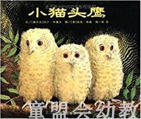 信谊宝宝起步走 小猫头鹰 明天出版社 正版 满包邮 0-3-4-5-6岁