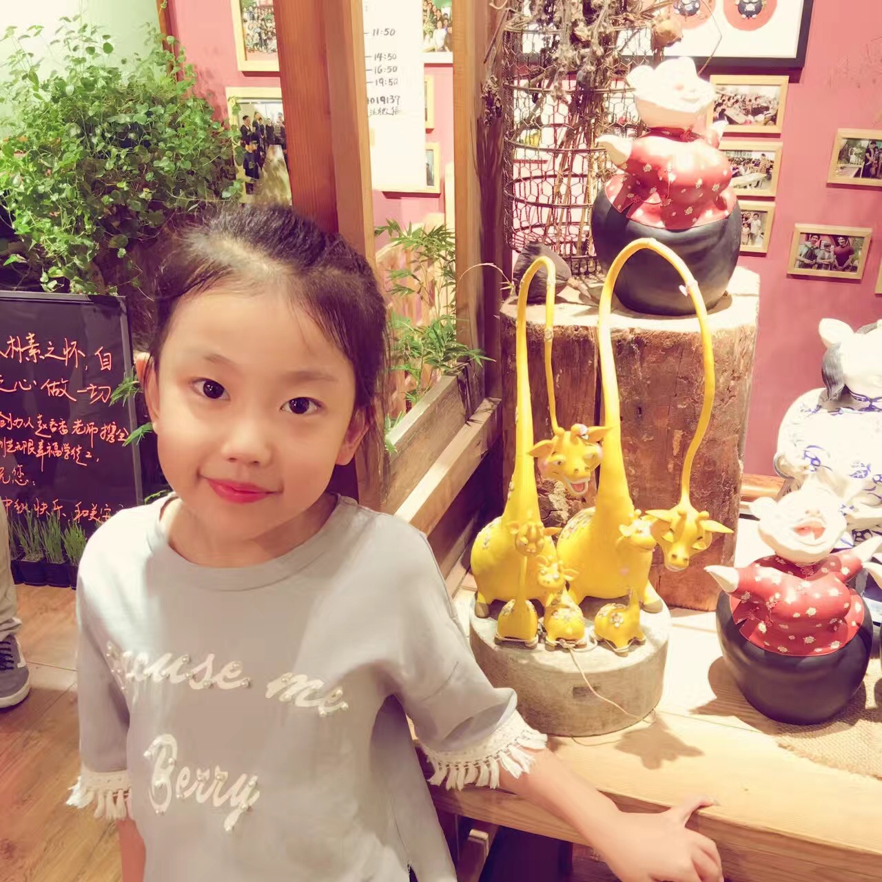 博乐小主播－鞠易桐专栏