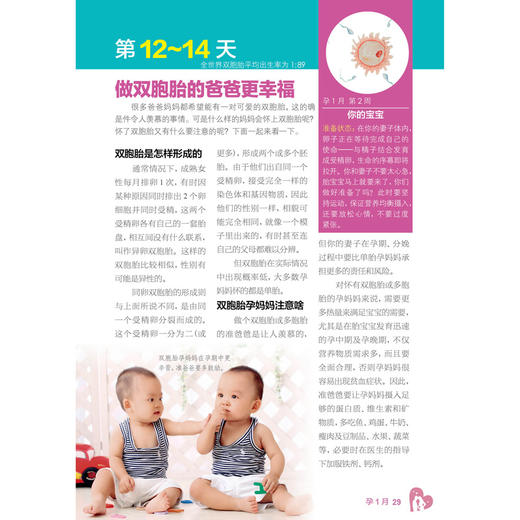 陪老婆怀孕每日一页 商品图4