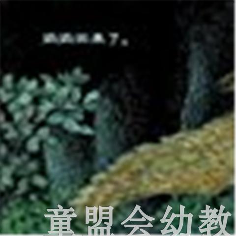 信谊宝宝起步走 小猫头鹰 明天出版社 正版 满包邮 0-3-4-5-6岁 商品图1