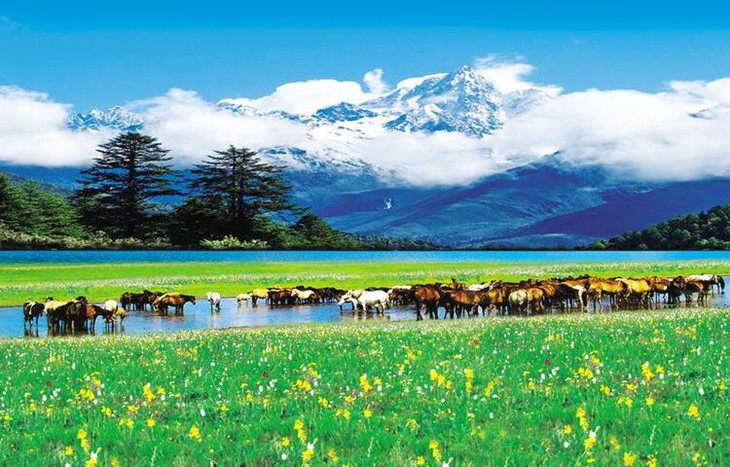 康定情歌木格措景区套餐