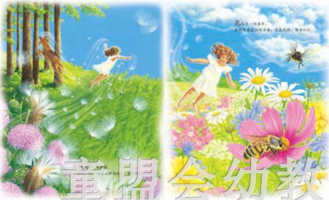 海豚 我眼中的世界  长江少年儿童出版社 商品图2