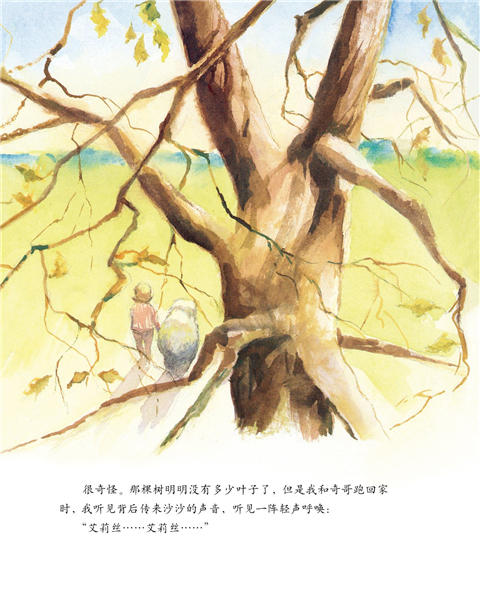 启发 艾莉丝的树 伊夫·邦廷 适合3-4-5-6岁儿童读物 正版 商品图2