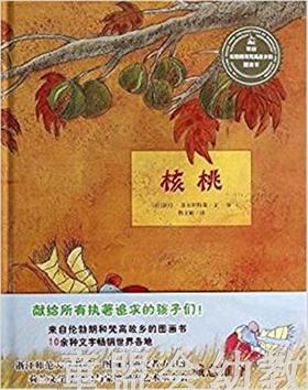 信谊 绘本 核桃 明天出版社 正版 满包邮 3-4-5-6岁