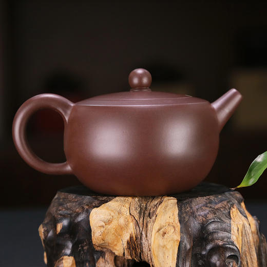 【鸟语花香】谭俊大师手工紫砂壶