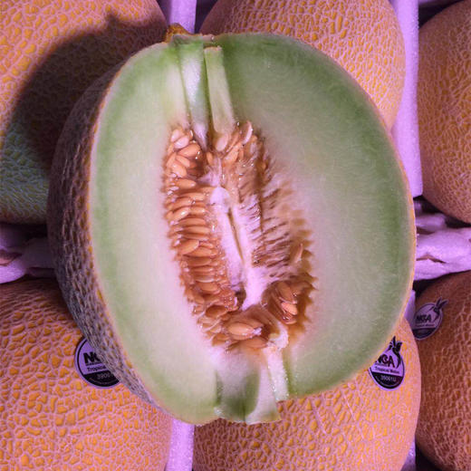 金丝蜜瓜1盒4个装