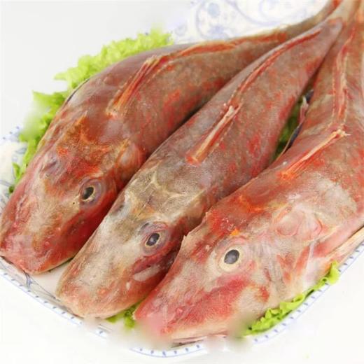 海鲜大礼包  净重6公斤（仅限乌鲁木齐同城配送） 商品图2