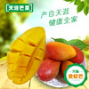 贵妃芒果 小果 净重8斤  个虽小，一样甜！与家人共享，实惠！ 商品缩略图2