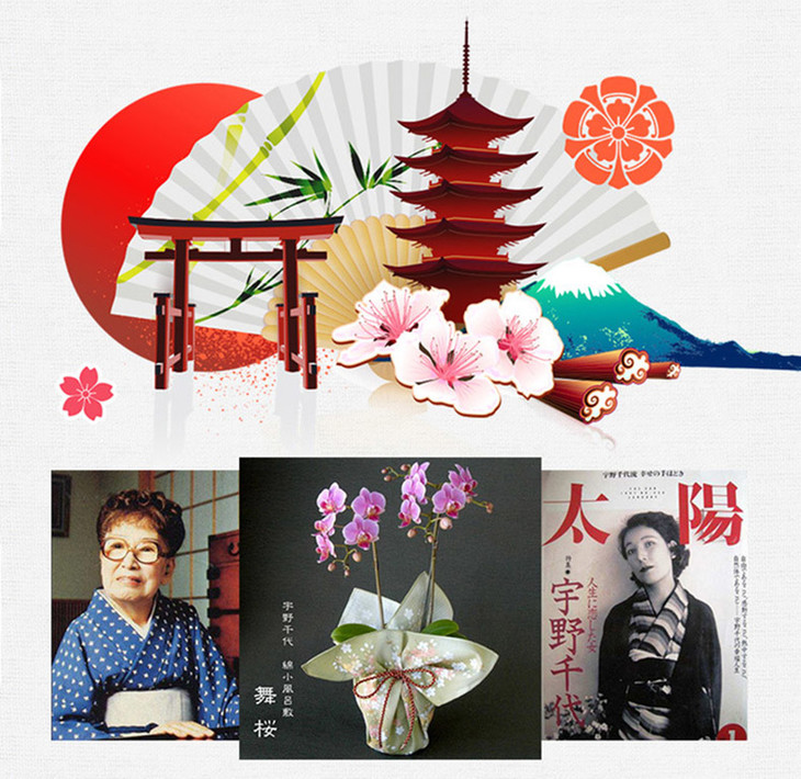 日本aito x 宇野千代合作款美浓烧汤碗5件套礼盒(樱吹雪)