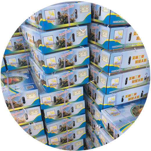 贵妃芒果 中果 净重8斤  大小适中 适合分享！ 商品图5