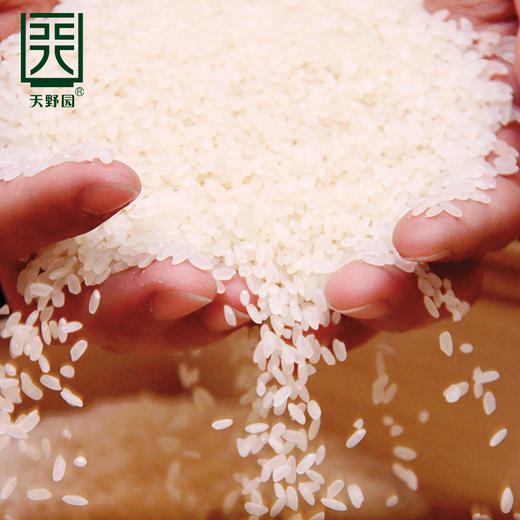 天野园·简装长粒香5kg 下单两袋超值优惠 非真空 舒兰长粒香米 经济实惠 口感醇厚 商品图2