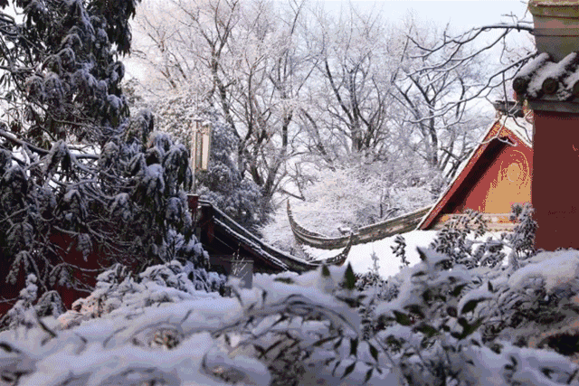 让人目不暇接蒙顶山这座千年"贡茶园"在白雪皑皑中感受高空吊桥的刺激