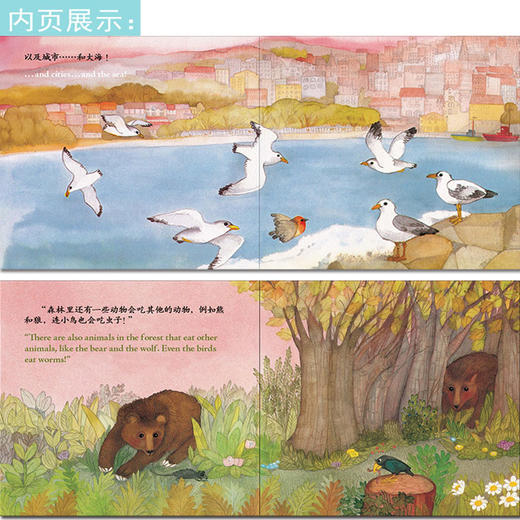 童心读世界丛书 我的一天 早上 幼儿园中英语绘本 商品图1