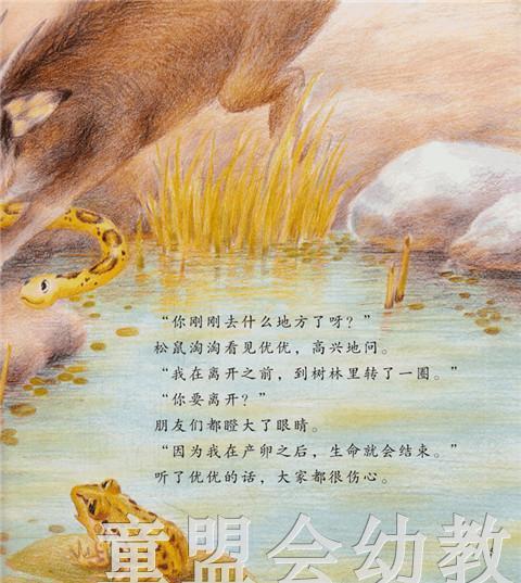 幼儿科学故事绘本：勇敢的绿巾小子 商品图3