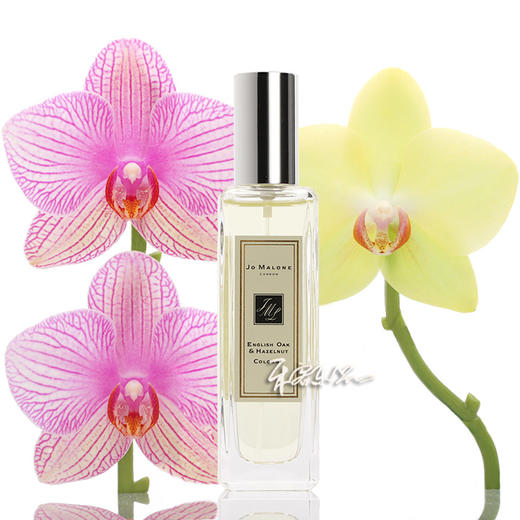 祖马龙 祖玛珑 英国橡树与榛果 香水 JO MALONE   小样/正装 商品图0