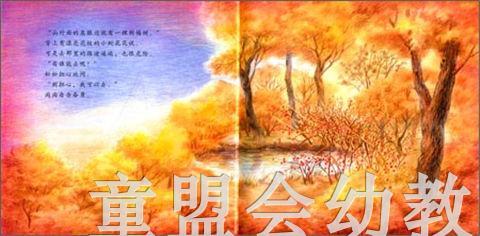 幼儿科学故事绘本：杜杜生病了 复旦大学出版社 商品图2