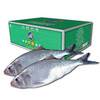 中洋鱼天下鲥鱼礼包 商品缩略图1