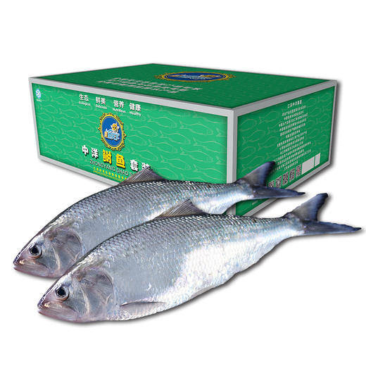 中洋鱼天下鲥鱼礼包 商品图1