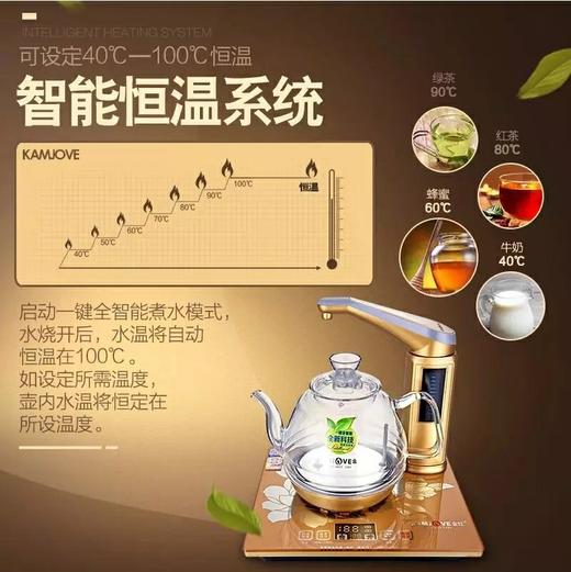 糯香茶化石450克精品装，卖一送一（茶化送金灶H7电茶壶）全国包邮 商品图13