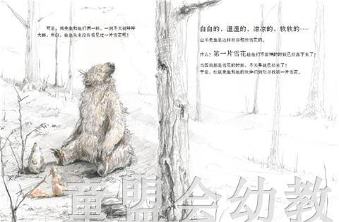 海豚 松鼠先生和第一场雪 湖北少年儿童出版社 商品图3