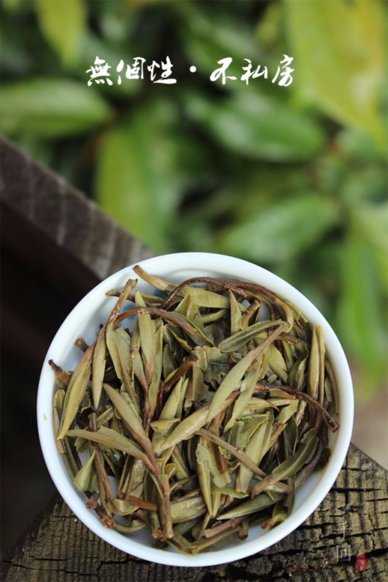 云雾白牡丹 政和白茶/铁山镇高山/复式萎凋 2016年50克私房 - 藏茶密