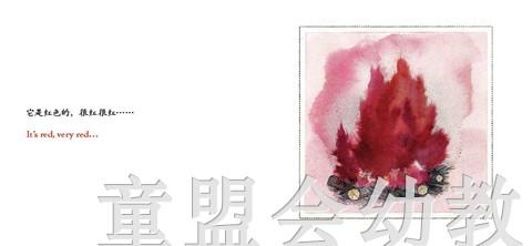 四大元素：火 何塞帕拉蒙 3-4-5-6儿童读物 江苏文艺出版社 正版 商品图2